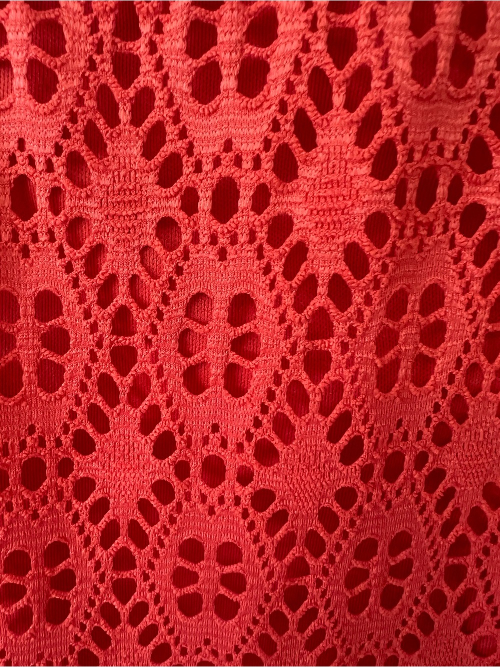 Sandra Darren Coral Lace Embellished Maxi Dress 18W NWT Plus Size - Picture 5 of 7